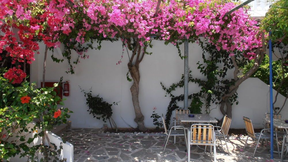 Hotel Belvita
